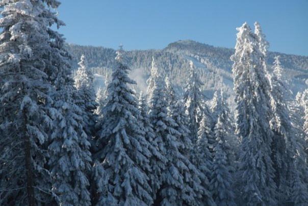 Aparthotel Borovets Gardens Ngoại thất bức ảnh